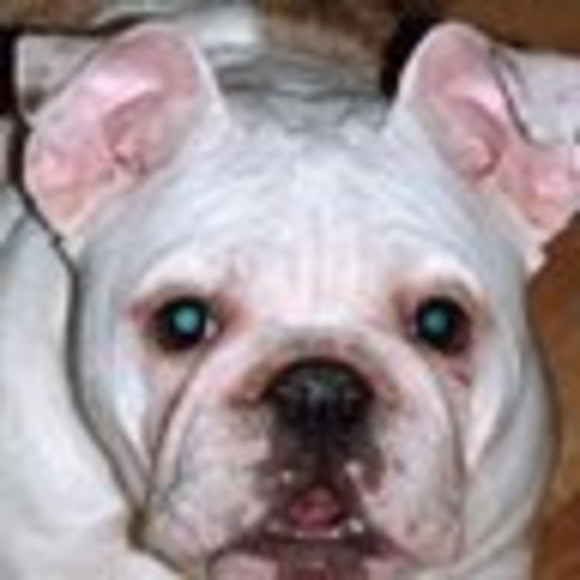 Meet your Posher, Loy - Picture 1 of 1